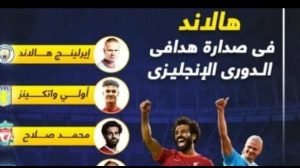 تعرف علي ترتيب هدافي البريميرليج

