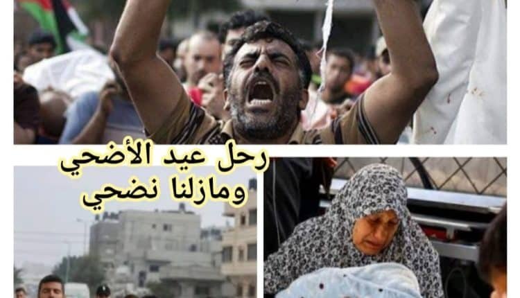 رحل عيد الأضحي وما زلنا نضحي