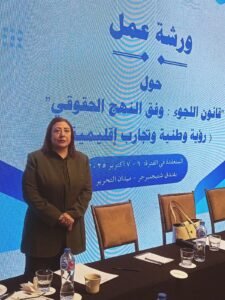 مؤسسة نبراس تتقدم بورقة عمل حول "اللائحة التنفيذية لقانون اللجوء" للمجلس القومي لحقوق الإنسان

