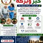 «خير وبركة».. مبادرة مجتمعية من «نبراس السلام» لتمكين المرأة والشباب ودعم كبار السن وذوي الهمم